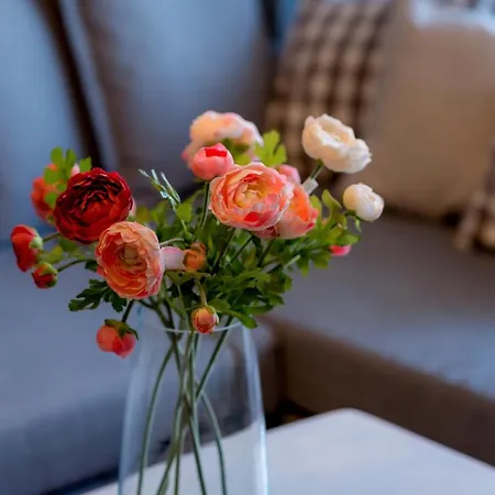 アパート Downtown Wonder クルージュ＝ナポカ