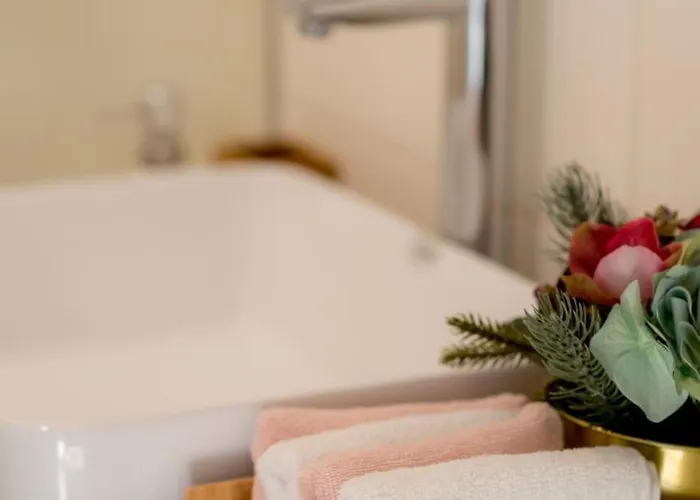 Downtown Wonder Κλουζ-Ναπόκα