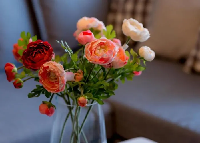 Διαμέρισμα Downtown Wonder Κλουζ-Ναπόκα